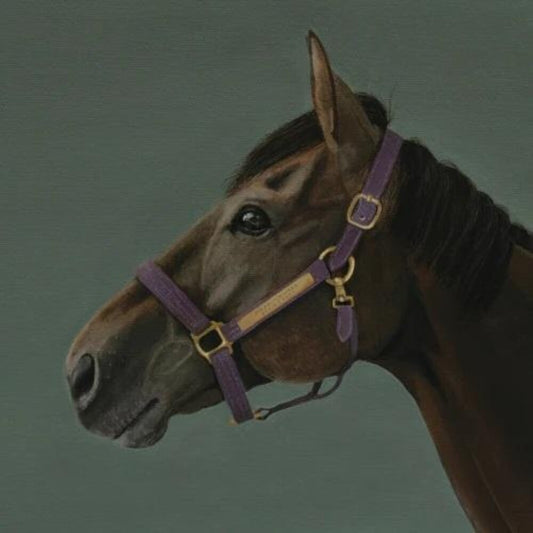 Hikari Ichihara - Brain Candy