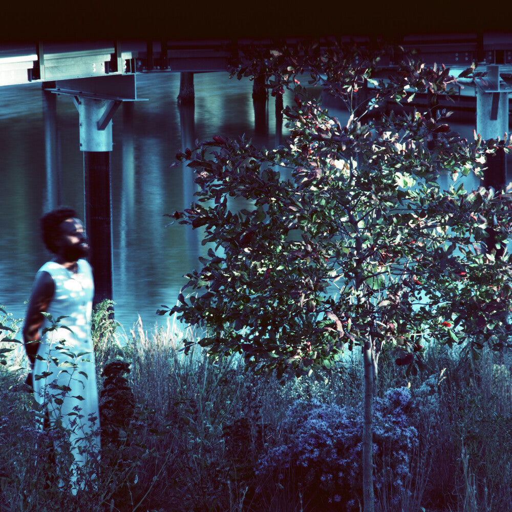 Jjjjjerome Ellis - Vesper Sparrow