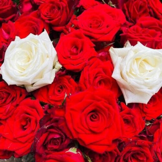 Hyenacar - Cut All The Red Threads Of Destiny That Run