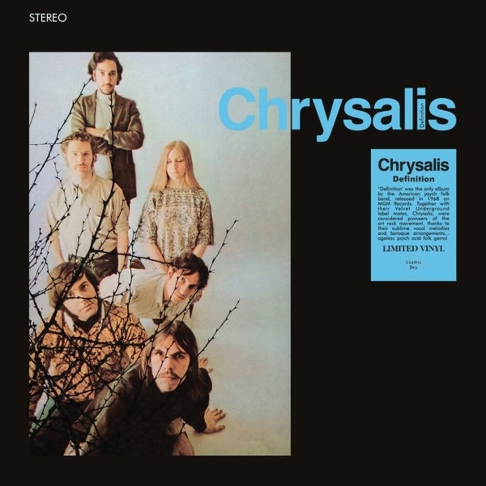 Chrysalis - Definition