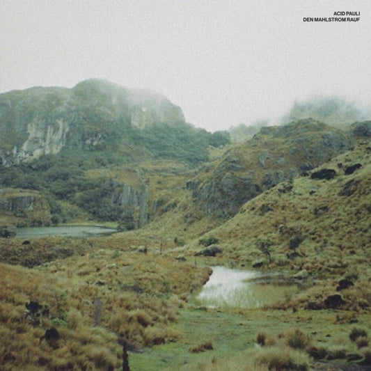 Acid Pauli - Den Mahlstrom Rauf (Ep)