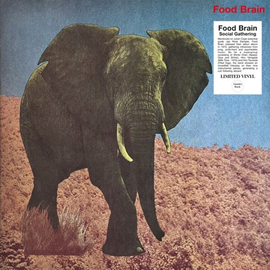 Food Brain - Social Gathering