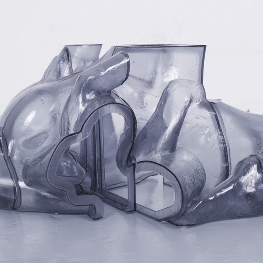 Pre-Order: Carrier - Rhythm Immortal