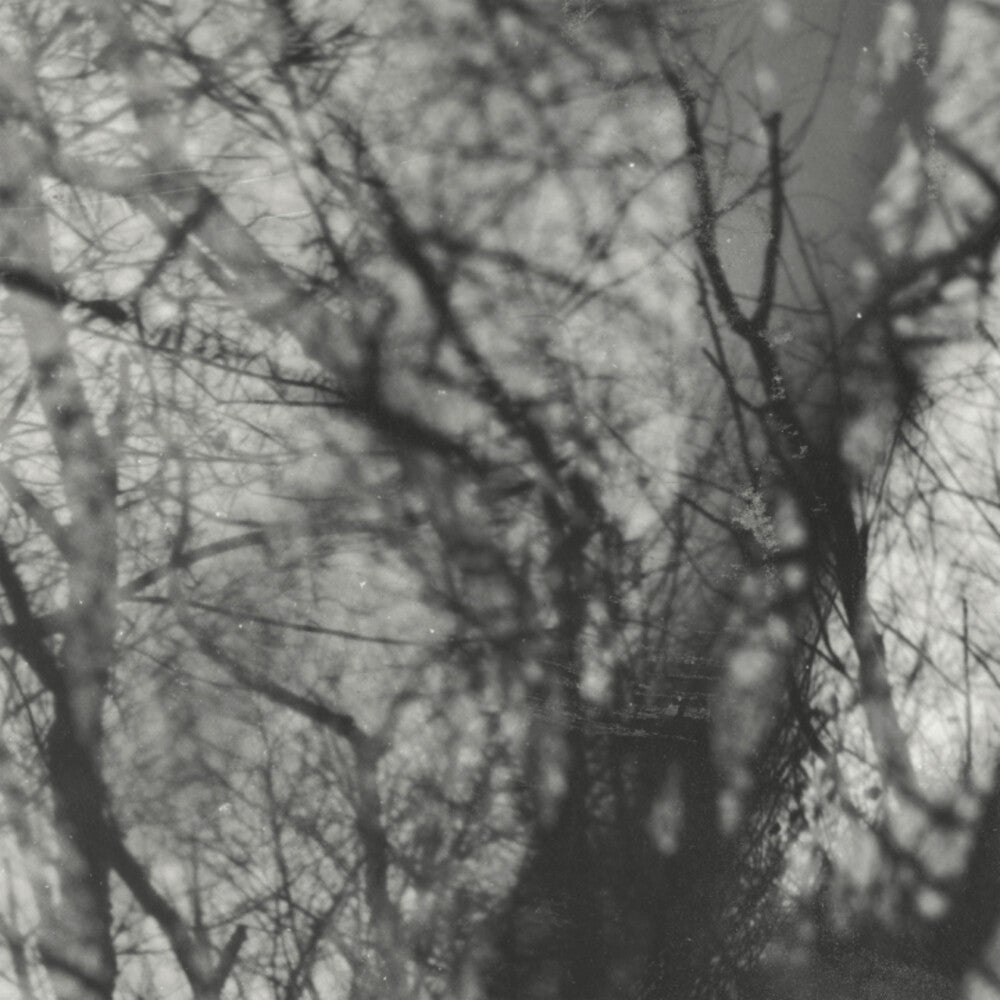 Grouper - Way Their Crept [Reissue]