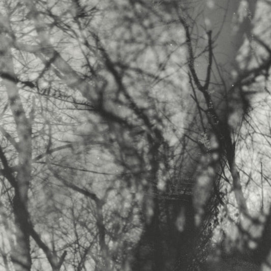 Grouper - Way Their Crept [Reissue]