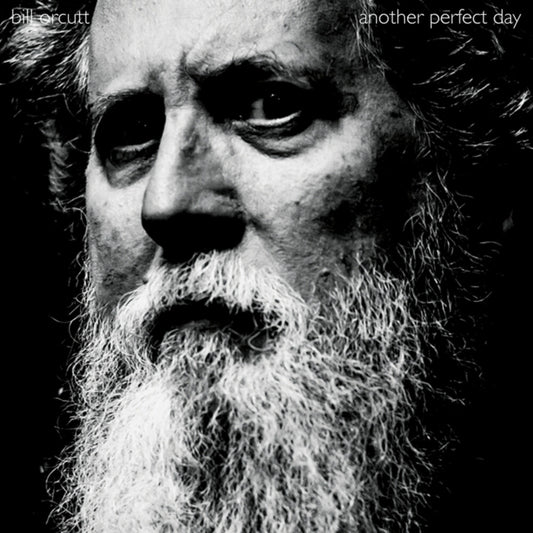Bill Orcutt - Another Perfect Day