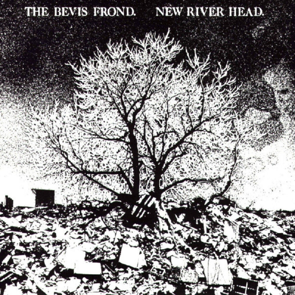 the album cover for The Bevis Frond - New River Head (Gate) [Download Included]