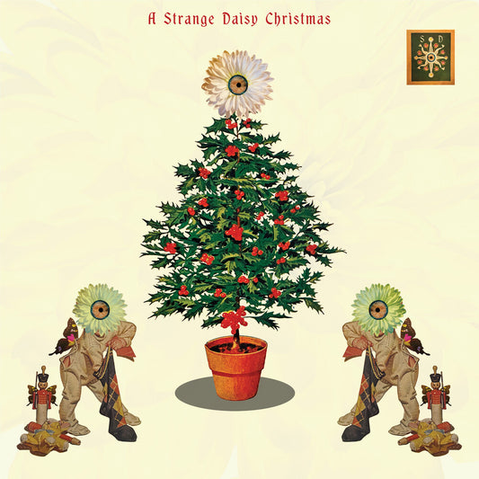 the album cover for Strange Daisy Christmas / Various - Strange Daisy Christmas / Various