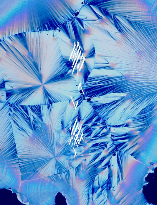 the album cover for Dustcell - Aoi Umi (Limited Edition)