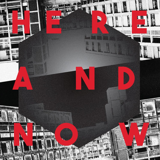 the album cover for Palais Ideal - Here And Now