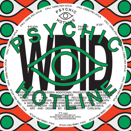 the album cover for Sylvan Esso - WDID b/w KEEP ON [12" Single]