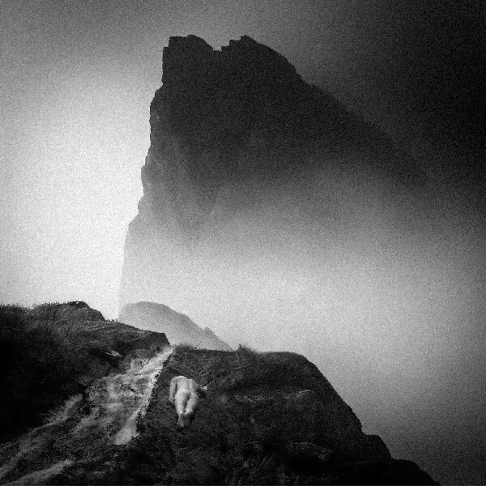 the album cover for Mizmor / Hell - Alluvion (Gate)