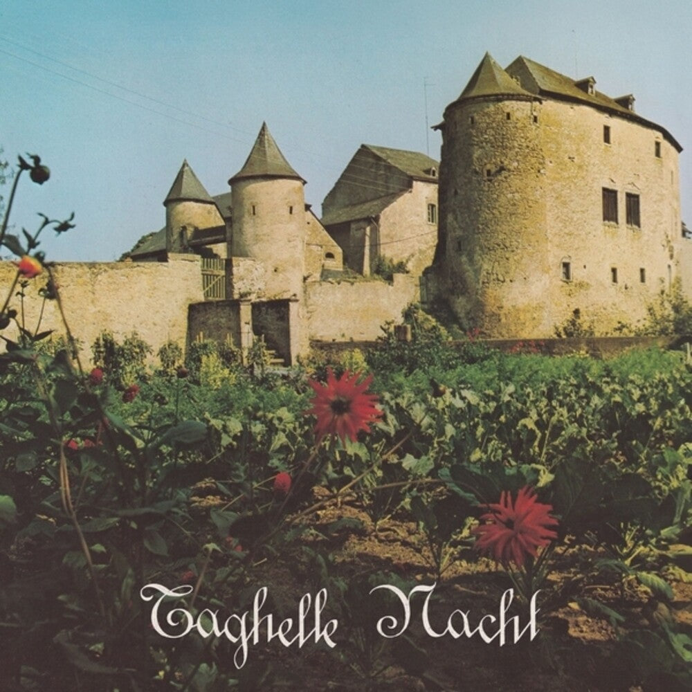 the album cover for Roudi Vagou  / Seele,Lauten Der - Taghelle Nacht