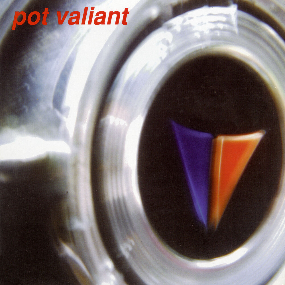 the album cover for Pot Valiant - Transaudio