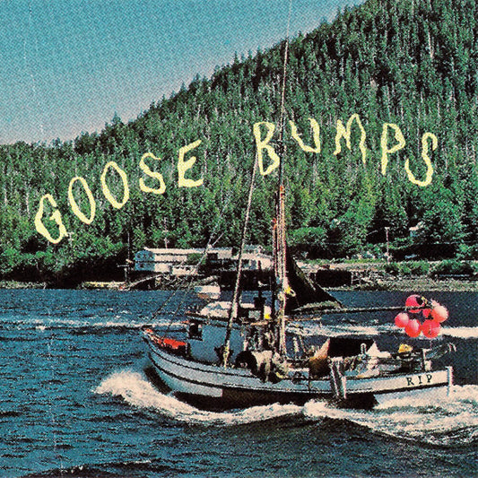 the album cover for Boyscott - Goose Bumps (Blue) [Colored Vinyl] [Download Included] (Mrb)