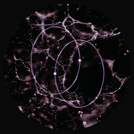 the album cover for Leo Len - Echolocation (Ep)