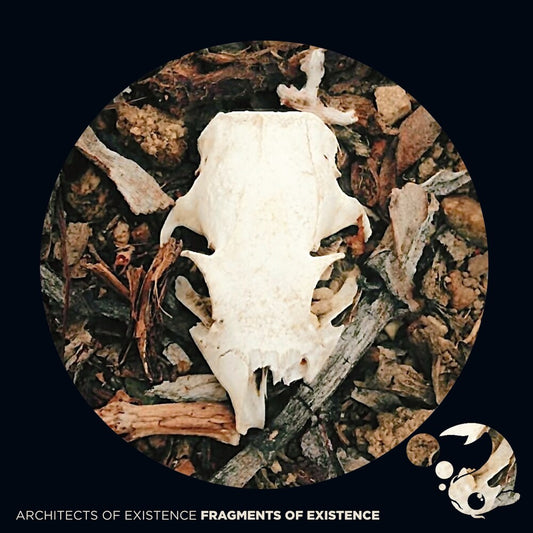 the album cover for Architects Of Existence - Fragments Of Existence