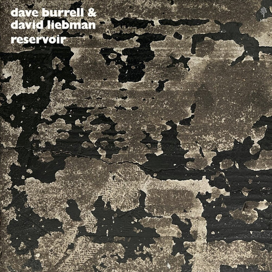 the album cover for Dave Burrell  / Liebman,David - Reservoir (Gate)
