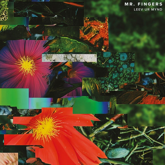 the album cover for Mr. Fingers - Leev Ur Mynd