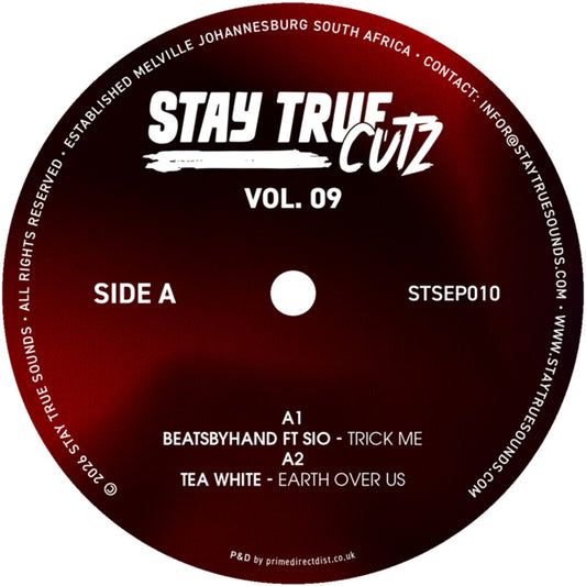 the album cover for Stay True Cutz Vol. 9 / Various - Stay True Cutz Vol. 9 (Various Artists)