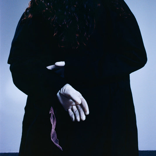 the album cover for Friedberg - Goodwife