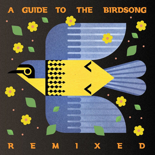 the album cover for Guide To The Birdsong Remixed / Various - Guide To The Birdsong Remixed / Various
