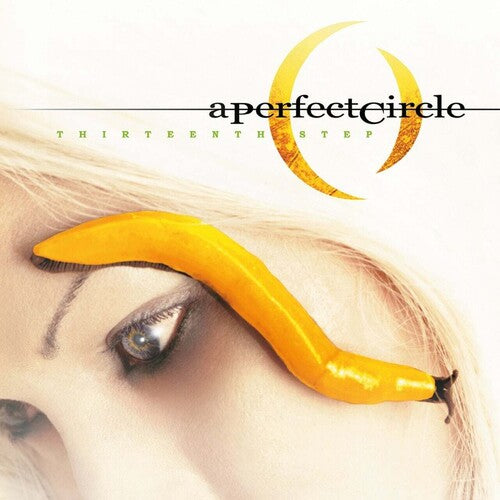 A Perfect Circle - Thirteenth Step