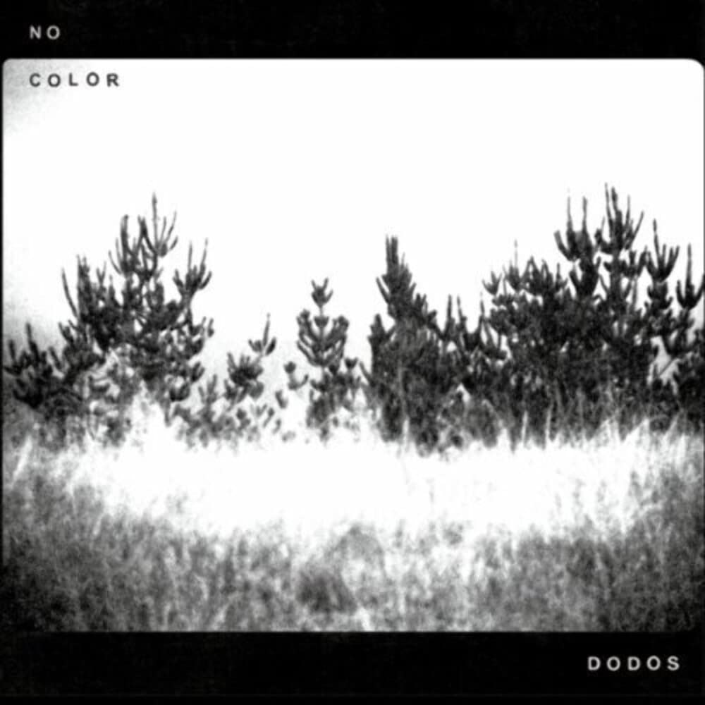 The Dodos – No Color LP