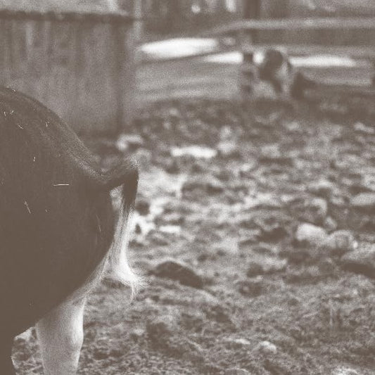 John Chantler – Tomorrow Is Too Late LP