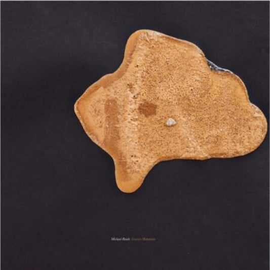Michael Beach ‎– Gravity/Repulsion LP