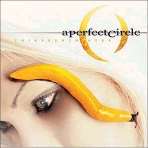 A Perfect Circle - Thirteenth Step