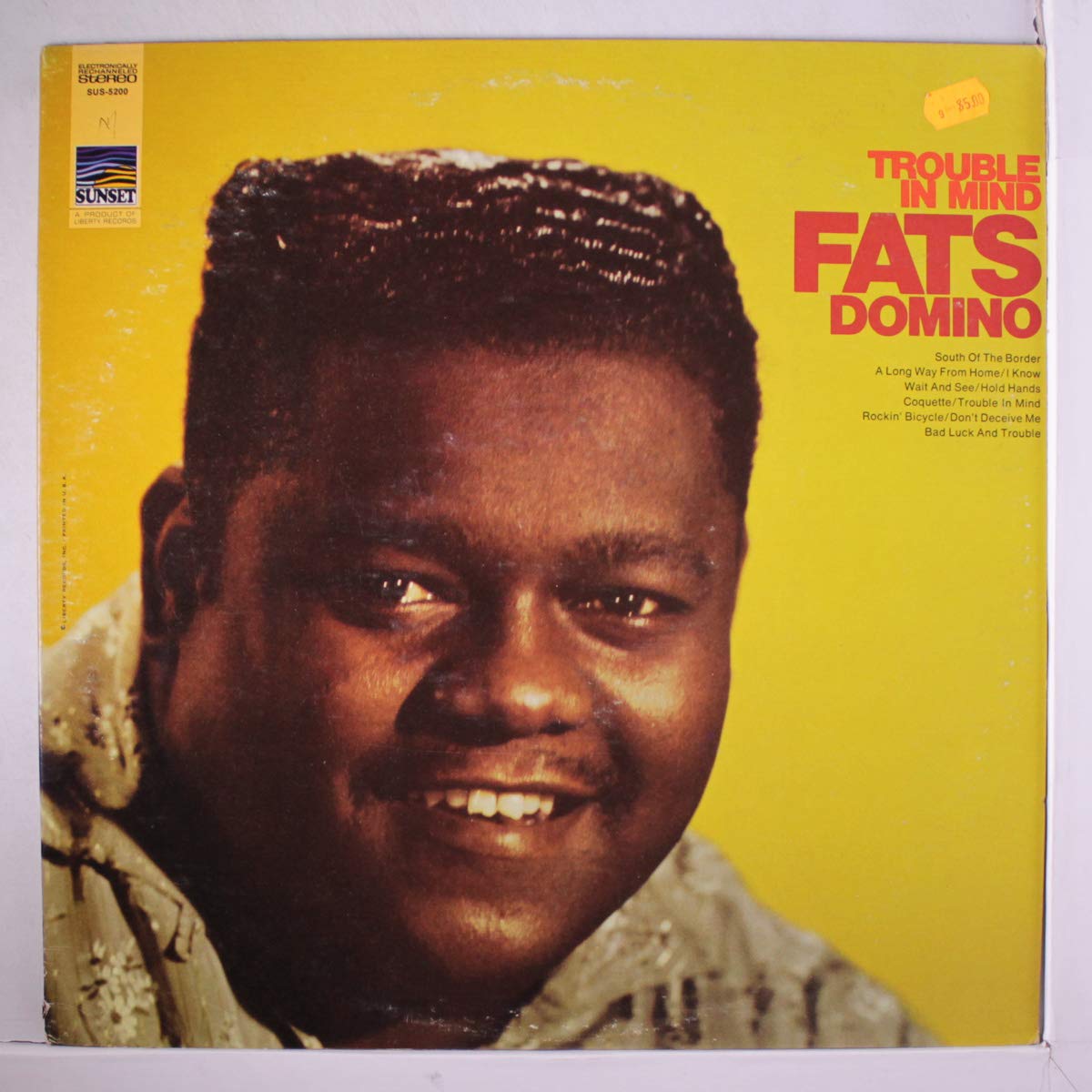 Fats Domino - Trouble In Mind LP