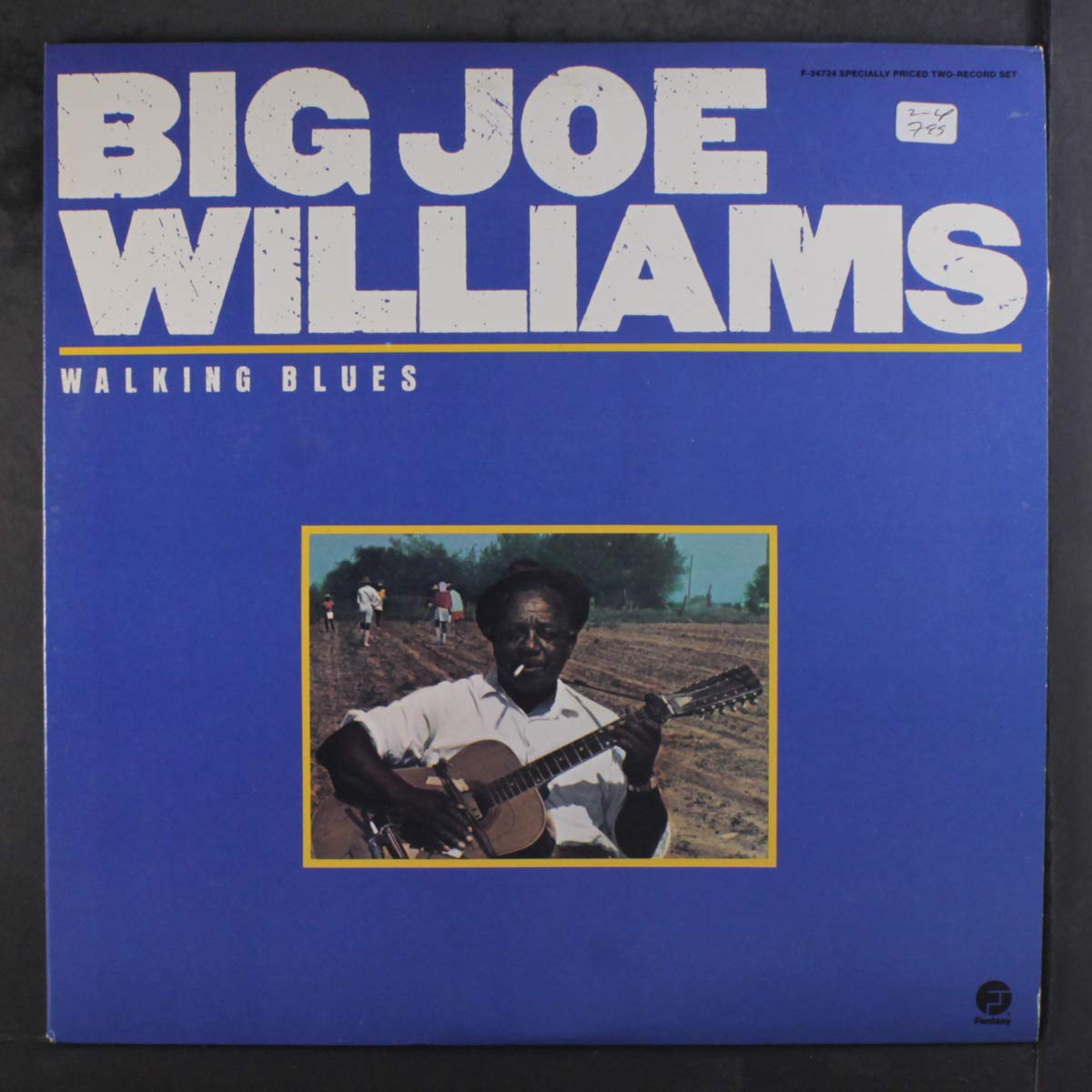 Big Joe Williams – Walking Blues 2LP