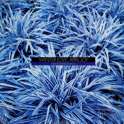David Friedman - Winter Love, April Joy LP