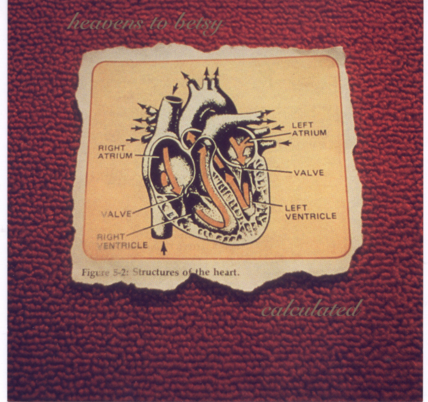 Heavens to Betsy - Calculated