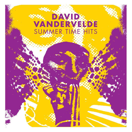 David Vandervelde - Summer Time Hits LP
