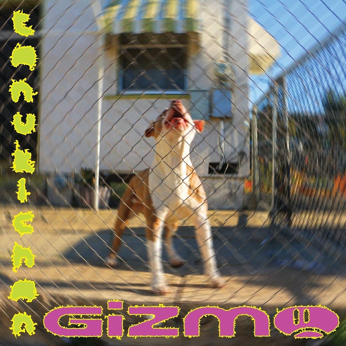 GIZMO - Tanukichan (sky blue vinyl) LP