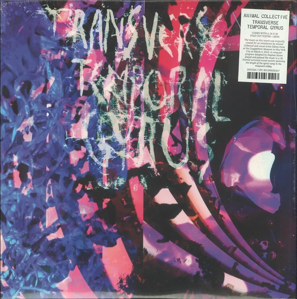 Animal Collective – Transverse Temporal Gyrus 12"