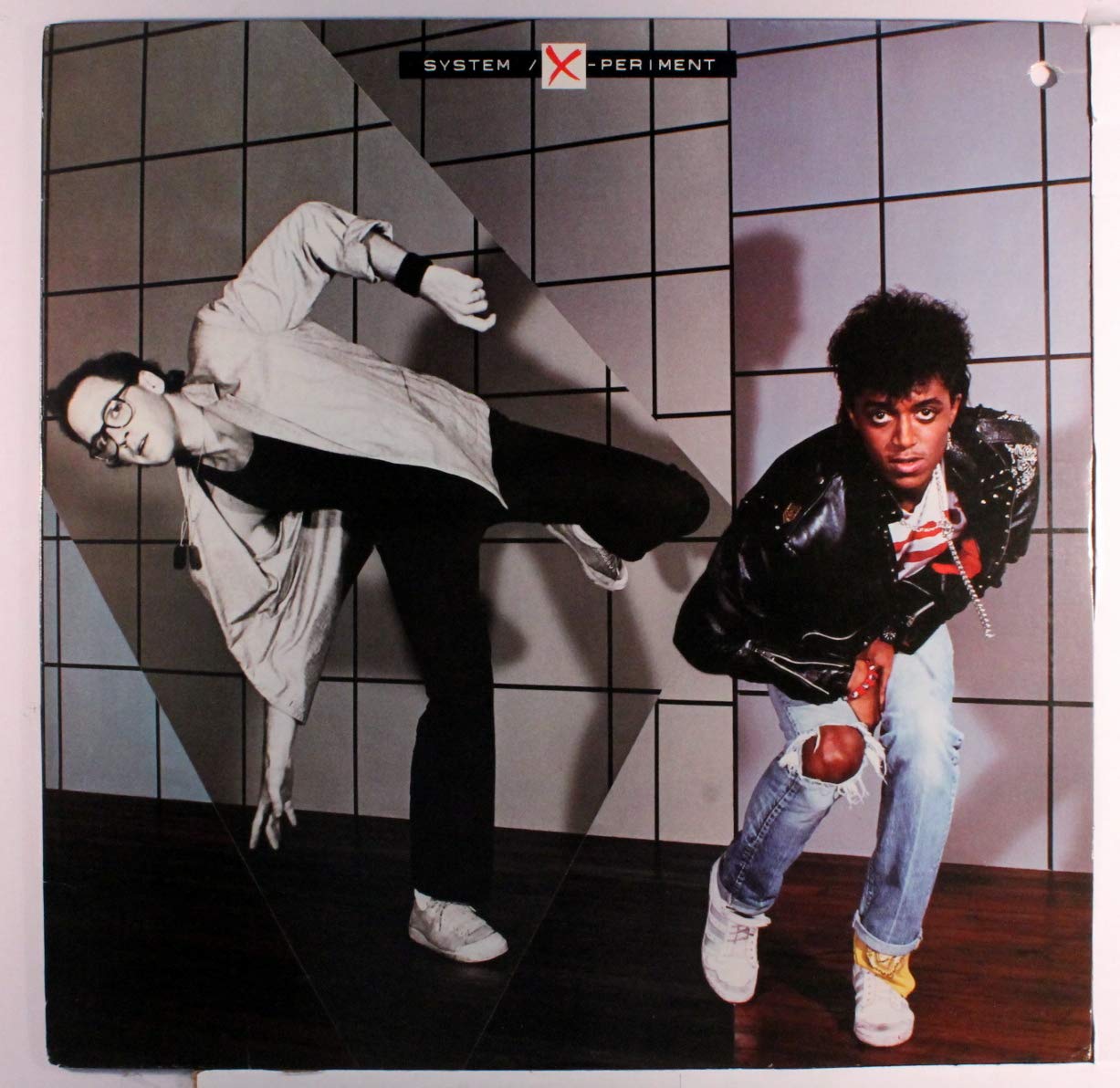 The System – X-Periment LP