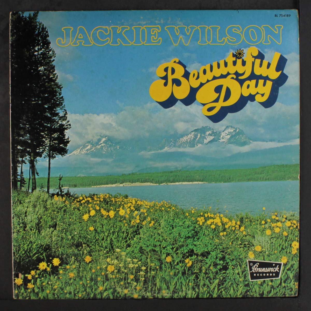 Jackie Wilson - Beautiful Day LP