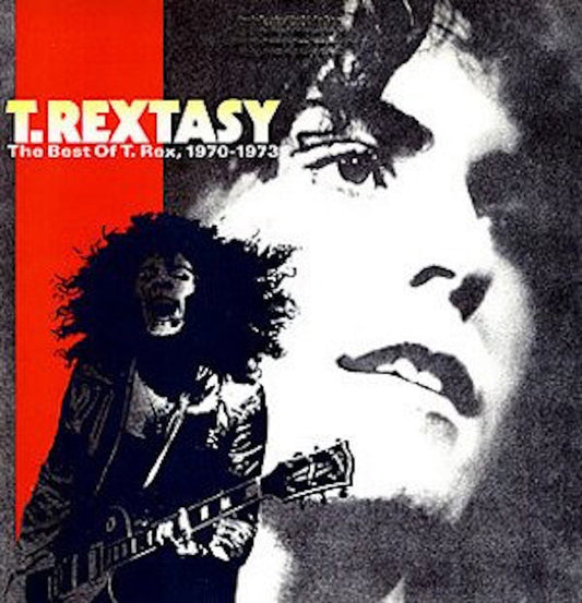 T. Rex - T. Rextasy The Best of T. Rex, 1970-1973 LP
