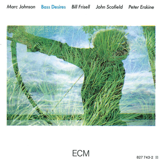 Marc Johnson - Bass Desires LP