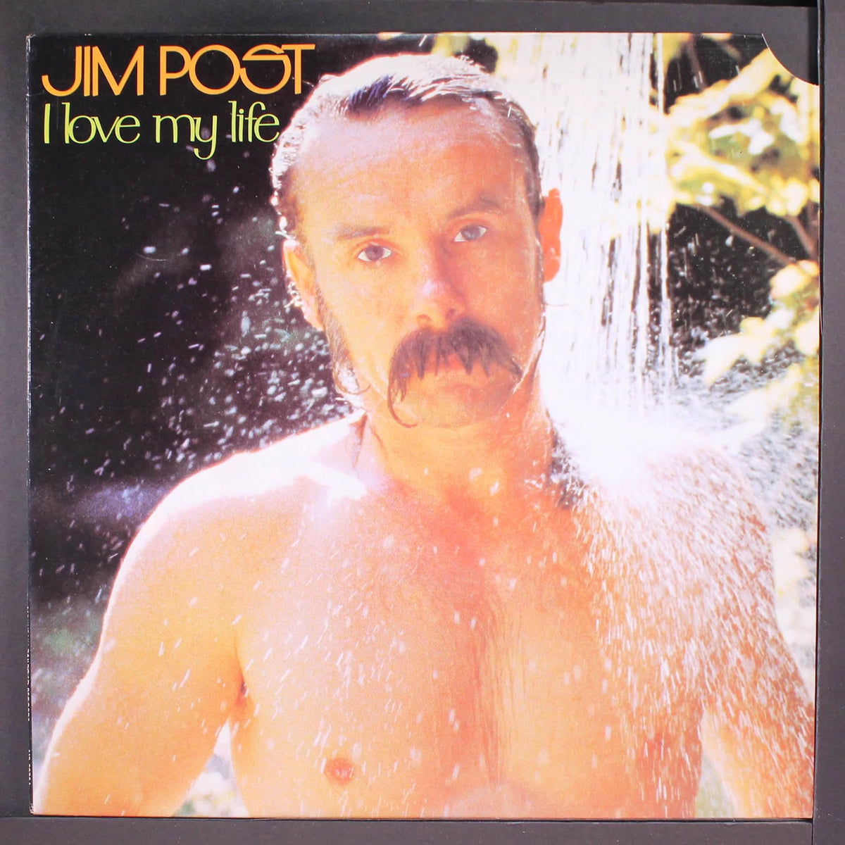 Jim Post - I Love My Life LP