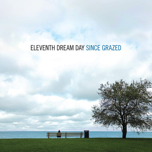 Eleventh Dream Day – Since Grazed 2LP