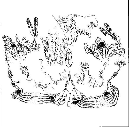 Orthrelm - Iorxhscimtor