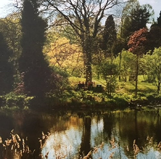 Efterklang - One Sided LP