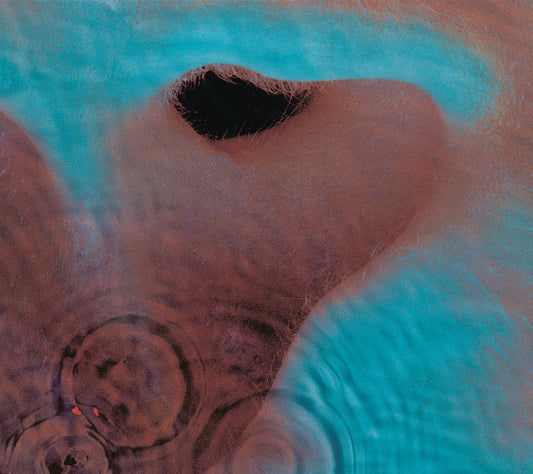 Pink Floyd – Meddle 180g LP