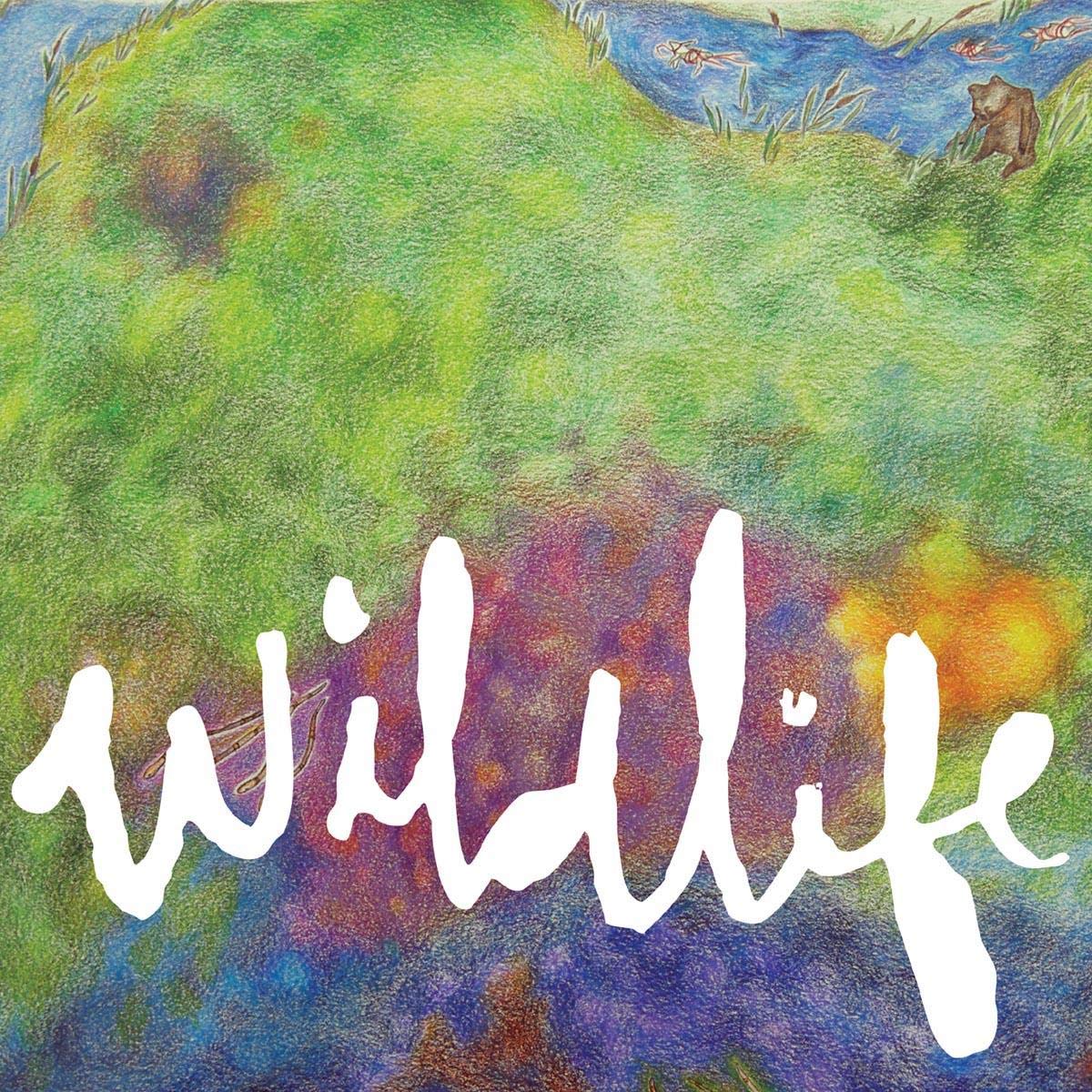 Headlights – Wildlife (180g)