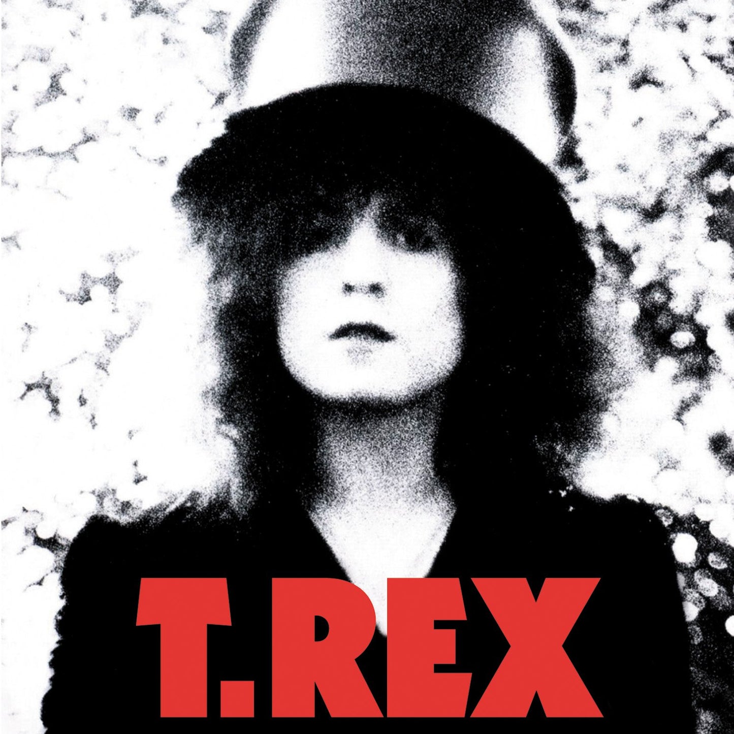 T. Rex - The Slider (2010 pressing) LP