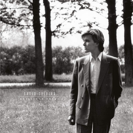 David Sylvian – Brilliant Trees 180g LP